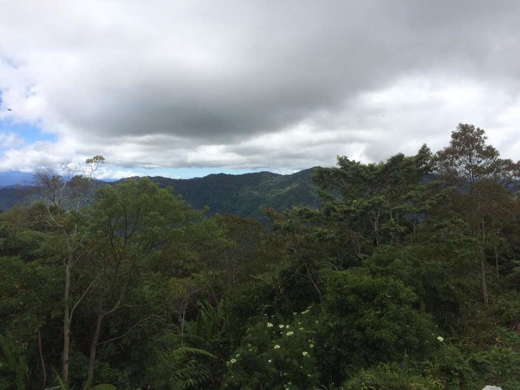 D'Villa Rina Ria Lodge, Kinabalu Park, Kundasang Bundu Tuhan Экстерьер фото