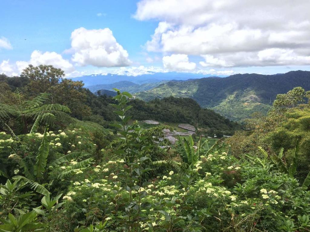 D'Villa Rina Ria Lodge, Kinabalu Park, Kundasang Bundu Tuhan Экстерьер фото